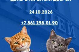 🏫 ДЕНЬ ОТКРЫТЫХ ДВЕРЕЙ  24.10.2026